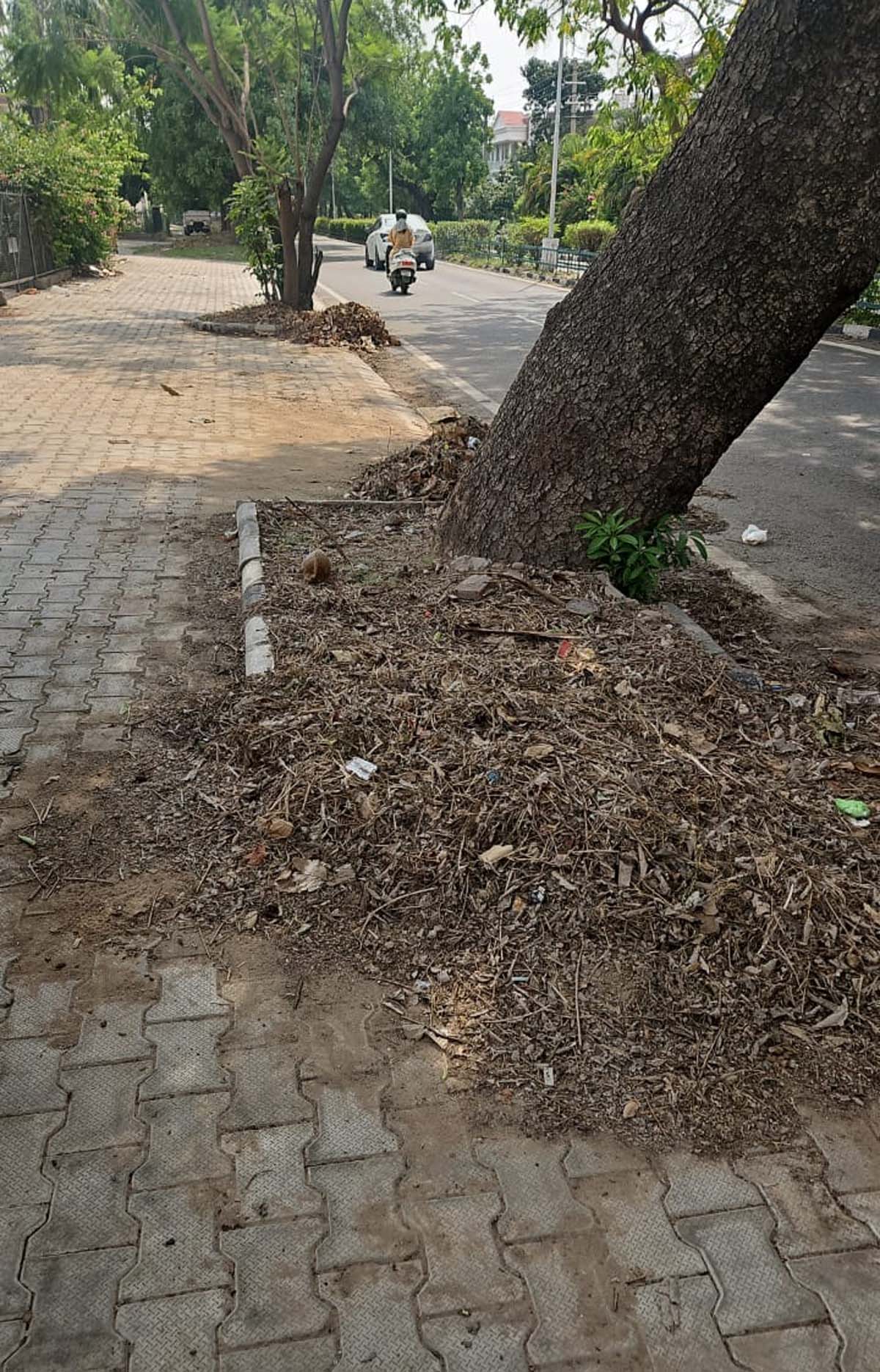 Municipal Corporation should improve the poor sanitation system of the city - Paramjit Singh Kahlon.